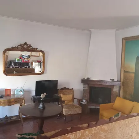 Orange Tree אמרנטה