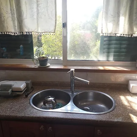 Orange Tree Amarante