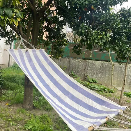 דירה Orange Tree *