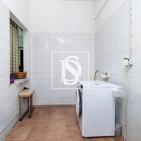 Orange Tree * Amarante