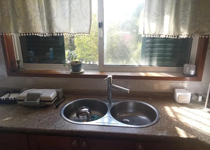 Orange Tree Amarante