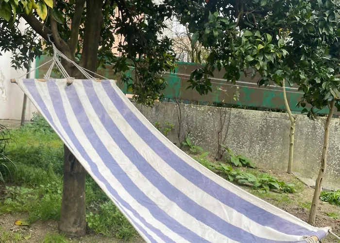 Lägenhet Orange Tree *