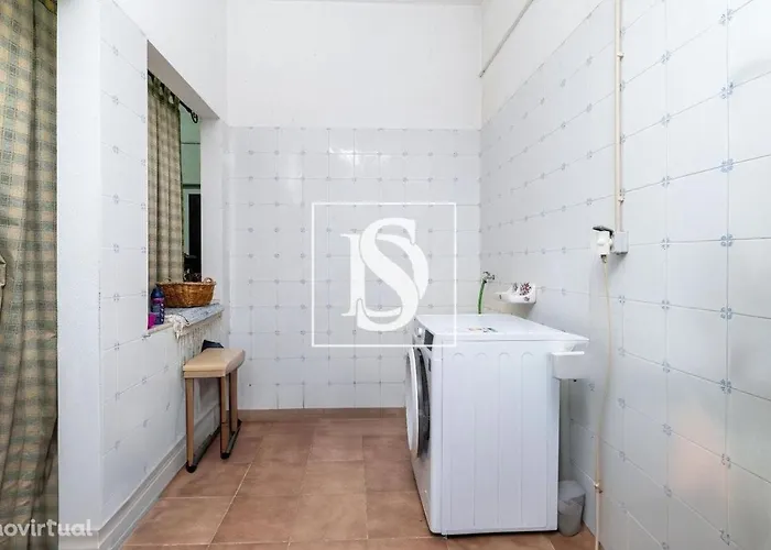 Orange Tree * אמרנטה